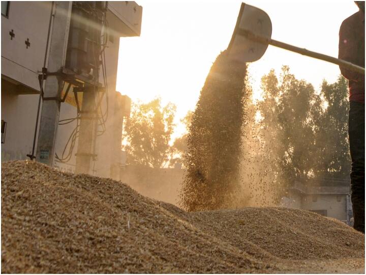 United Arab Emirates To Suspend Exports Of Indian Wheat For 4 Months Wheat Exports: UAE में भारतीय गेहूं के निर्यात पर 4 महीने के लिए रोक, वैश्विक खाद्य संकट के चलते लिया फैसला