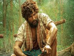 Pushpa The Rule का इंतजार जल्द होगा खत्म, जानें कब से अल्लू अर्जुन और रश्मिका मंदाना शुरू करेंगे फिल्म की शूटिंग