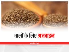 Ajwain For Hair: बालों की मजबूती बढ़ाए अजवाइन, जानें इसके अन्य फायदे