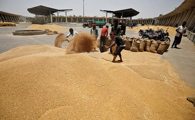 United Arab Emirates suspends indian wheat export for 4 months Wheat Export: UAE 'ਚ ਭਾਰਤੀ ਕਣਕ ਦੇ ਨਿਰਯਾਤ 'ਤੇ 4 ਮਹੀਨੇ ਦੀ ਰੋਕ, ਗਲੋਬਲ ਖੁਰਾਕ ਸੰਕਟ ਕਾਰਨ ਲਿਆ ਗਿਆ ਫੈਸਲਾ