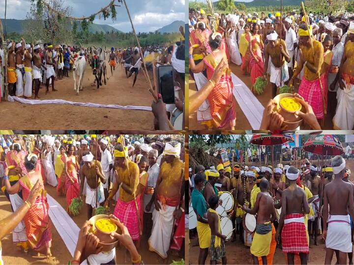 Bizarre Temple Festival in dindigul District Sendurai Temple Festival: மாலை தாண்டும் மாடுகள்; ஆண்கள் சட்டை அணியமாட்டார்கள் - திண்டுக்கல்லில் ஒரு வினோத போட்டி...!