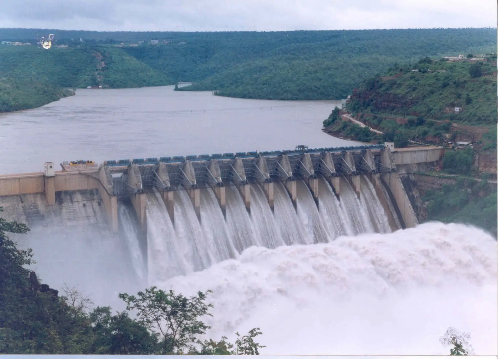 Nangal : 80 percent People depend on Sutlej water for domestic purposes in Raipur village ,  kills hundreds of fish ਪਾਣੀ ਬਣਿਆ ਜ਼ਹਿਰ ! ਸੈਂਕੜੇ ਮੱਛੀਆਂ ਮਰਨ ਕਾਰਨ ਲੋਕਾਂ 'ਚ ਸਹਿਮ ਦਾ ਮਾਹੌਲ, ਲੋਕ 80 ਫੀਸਦੀ ਘਰੇਲੂ ਕੰਮਾਂ ਲਈ ਸਤਲੁਜ ਦੇ ਪਾਣੀ 'ਤੇ ਨਿਰਭਰ