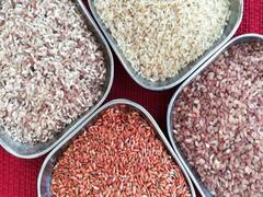 Types of Rice: அடேங்கப்பா.. இந்தியாவில் இத்தனை அரிசி வகை இருக்கா.. ஒவ்வொன்னும் ஒவ்வொரு ரகம்..