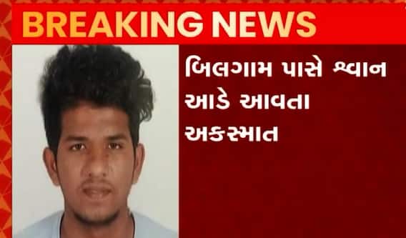 વડોદરાઃ રસ્તામાં શ્વાન આડે આવતા સર્જાયો અકસ્માત, બે યુવાનોના મોત