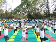 International Yoga Day 2022: इस बार योग दिवस पर क्या-क्या होगा खास, जानिए हर बड़ी बात