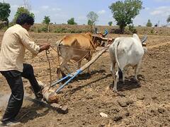 MP News: मध्य प्रदेश में 'सूख रहे' पेट्रोल पंप, डीजल की कमी किसानों के लिए बनी बड़ा सिरदर्द, जानें पूरा मामला