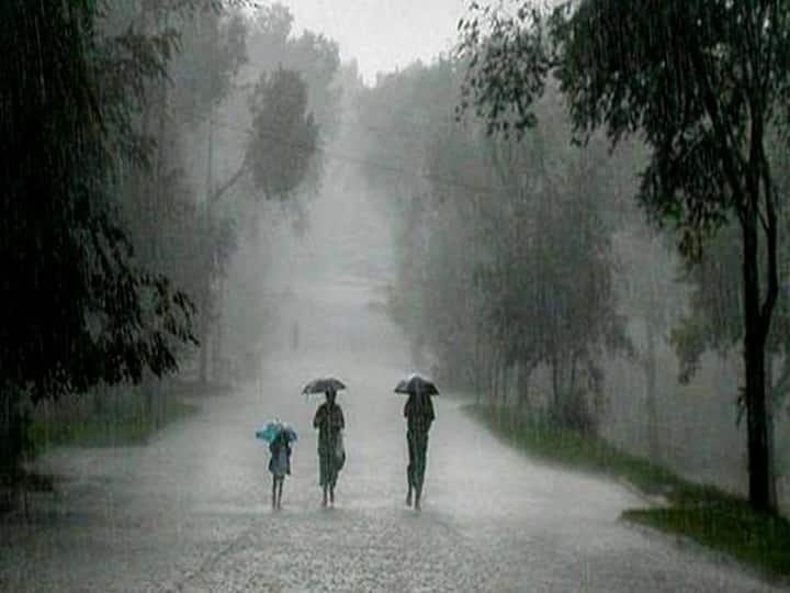 Monsoon News Even though monsoon has started in the state, why is it not raining? What are the main reasons for this? Monsoon News : राज्यात मान्सून दाखल झाला, तरी पाऊस का पडत नाही? त्याची प्रमुख कारणं काय?