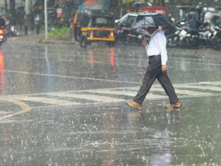 maharashtra Rain heavy rainfall in Maharashtra, happiness among the farmers Maharashtra Rain : राज्याच्या विविध भागात पावसाची दमदार बॅटिंग, शेतीकामांना वेग, यवतमाळ आणि चंद्रपूरमध्ये वीज पडून दोघांचा मृत्यू
