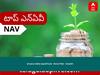 Invesco India Liquid Fund - Direct Plan - Growth NAV June 15, 2022: నెట్ అసెట్స్ విలువ, ధర, స్కీమ్, పెట్టుబడి, వడ్డీరేటు తెలుసుకోండి