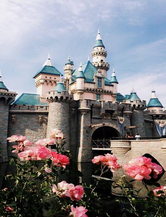 டிஸ்னி லேண்ட் பற்றி தெரிஞ்சுக்கலாம் வாங்க..