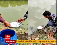 ચોમાસા પહેલા AMCની કવાયત, તળાવોમાં છોડાઇ ગપ્પી માછલીઓ