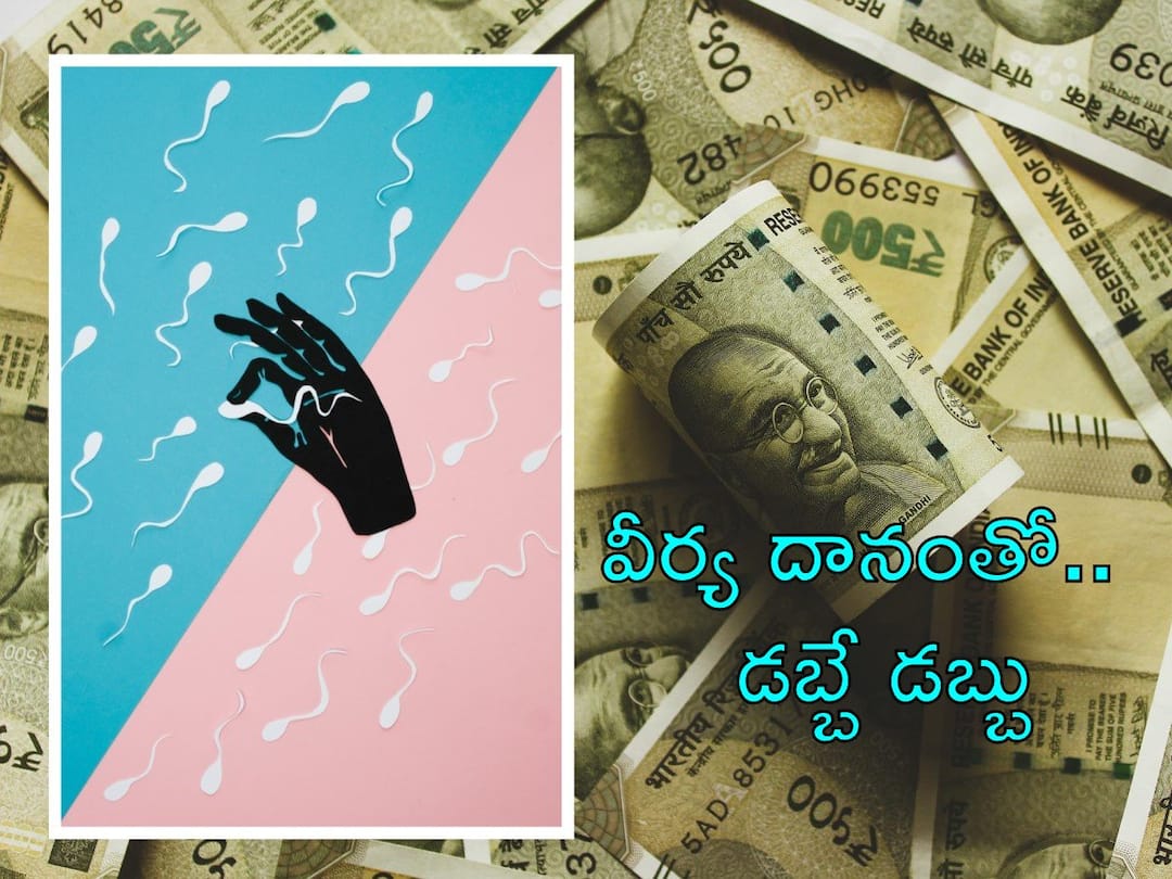 Sperm Donation: వీర్య దానంతో డబ్బే డబ్బు, ఇలా చేస్తే మీరూ సంపాదించవచ్చు! Facts About Sperm Donation And How It Makes Money in India Sperm Donation: వీర్య దానంతో డబ్బే డబ్బు, ఇలా చేస్తే మీరూ సంపాదించవచ్చు!
