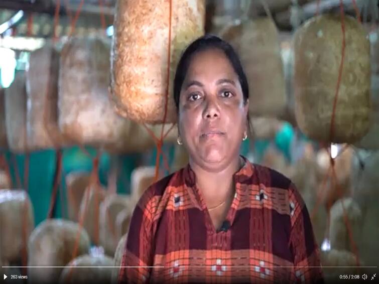 Gujarat Agriculture News: Anjanaben Gavit known as mushroom lady Mushroom Lady:  આ સિવિલ એન્જિનિયર ગુજરાતણે નોકરી છોડી શરૂ કરી ખેતી, બની ગઈ મશરૂમ લેડી