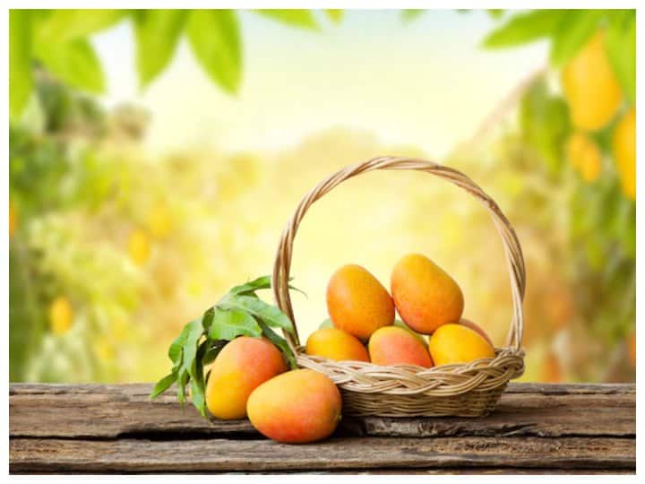 Weight loss with Mango eat mangoes for quick weight loss know how mango helps to lose belly fat quickly Weight Loss with Mango: सही समय और तरीके से खाएंगे आम तो घट सकता है आपका वजन, जानें कैसे