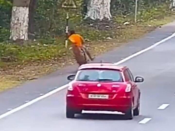 Viral video of a common man escaping from leopard Watch Video : “அதிர்ஷ்டம்னா இதுதானா?” : சாலையின் குறுக்கில் ஓடிய சிறுத்தை.. டரியலான சைக்கிளிஸ்ட்..