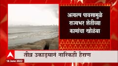 Monsoon Rain 2022 : मान्सूम आगमनानंतरही पावसाची दडी , पहिला पंधरवडा कोरडा : ABP Majha