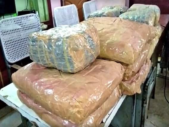 Surat News: सूरत में NCB की बड़ी कार्रवाई, 1.45 करोड़ रुपये कीमत का 724 किलोग्राम गांजा जब्त, छह गिरफ्तार Surat News: सूरत में NCB की बड़ी कार्रवाई, 1.45 करोड़ रुपये कीमत का 724 किलोग्राम गांजा जब्त, छह गिरफ्तार