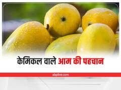 Health Tips: धड़ल्ले से बिक रहे हैं केमिकल वाले आम, इस तरह करें ऐसे आमों की पहचान