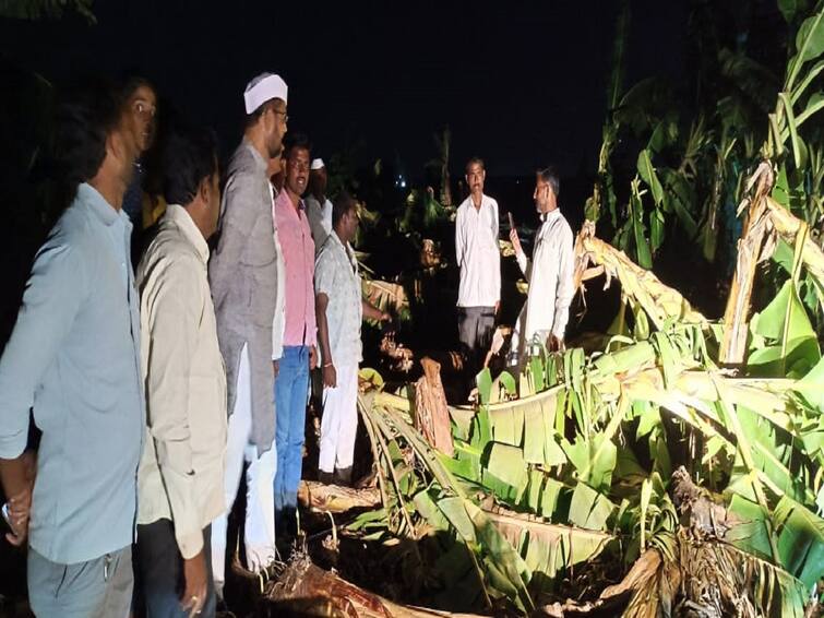 Sadabhau Khot demands Rs. 1 lakh per hectare for loss of crop in Madha taluka due to heavy rains Sadabhau Khot : सदाभाऊ खोत शेतकऱ्यांच्या बांधावर, नुकसानग्रस्तांना हेक्टरी एक लाखांच्या मदतीची मागणी