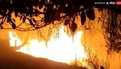 પોરબંદરઃ મિલની ચાલીના મેદાનમાં લાગી ભીષણ આગ, ભારે જહેમત બાદ મેળવાયો કાબૂ