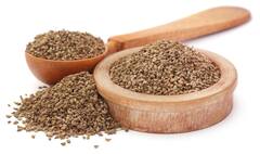 Ajwain For Hair: અજમા વાળની મજબૂતાઈ વધારે છે, જાણો તેના અન્ય ફાયદા વિશે
