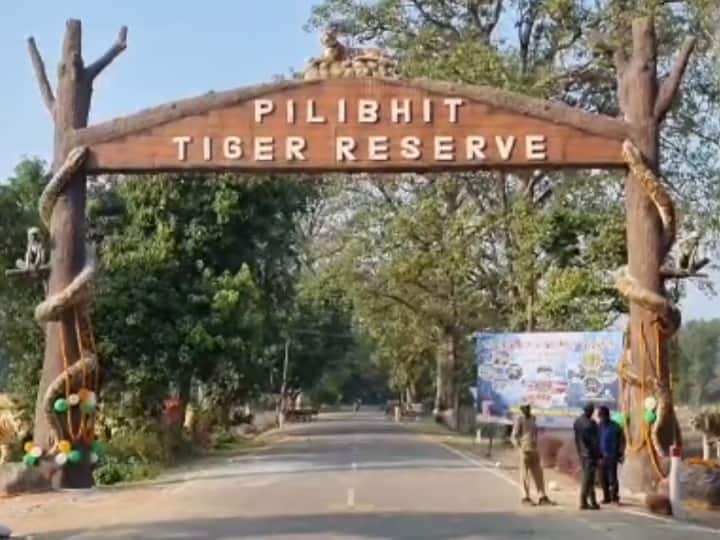 Pilibhit Tiger Reserve tourism season ends forest department has made big profits and start again from 15 November ann Pilibhit News: टाइगर रिजर्व का पर्यटन सत्र खत्म, वन विभाग को हुआ बड़ा मुनाफा, 15 नवंबर से फिर होगी शुरुआत