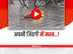 Watch: छोटे बच्चे ने सड़क पर लेटकर लिए बारिश के मजे, इंटरनेट पर वायरल हो गया वीडियो