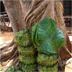 In Pics: बस्तर में 'सोने की थाली' बेचकर आदिवासी महिलाएं करती हैं लाखों की कमाई, देखें तस्वीरें