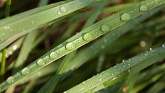 Makeup Tips: মেকআপের কিছু কৌশল, আলিয়ার মতো ঝকঝকে ত্বক নিমেষেই