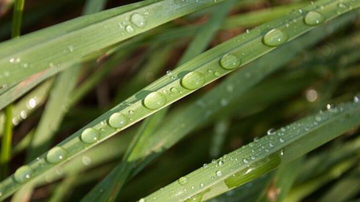 অথচ সারাদিন রোদে-জলে শ্যুটিং সামলেও ঝকঝকে উপস্থিতি তারকাদেরও। মেকআপও একচুল এদিক ওদিক হয় না।