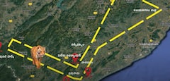 Kakinada Tiger Route Map : కాకినాడ జిల్లాను పెద్దపులి తన అడ్డాగా మార్చుకుందా..? | ABP Desam