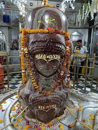 इसके बाद सबको समझ आ गया कि, पशुपतिनाथ यहीं विराजमान होना चाहते हैं. जिसके बाद वहां बाबा पशुपतिनाथ के मंदिर का निर्माण करवाया गया. हालांकि प्रतिमा को निकालने के करीब १८ साल बाद तक मंदिर नहीं बन सका, क्योंकि उस वक्त संसाधनों की काफी कमी थी. मंदिर में मूर्ति की प्राण प्रकिष्ठा भागवताचार्य श्री श्री 1008 स्वामी प्रत्यक्षानंद महाराज द्वारा की गई थी.