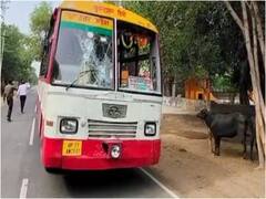 Firozabad: 'अग्निपथ योजना' के विरोध में युवकों ने रोडवेज बसों में की तोड़फोड़, पुलिस को देखकर खेतों में भागे