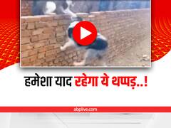 Watch: बिल्ली पर हमला करने जा रहे कुत्ते को पड़ा ज़ोरदार तमाचा, देखिए ये मज़ेदार वीडियो