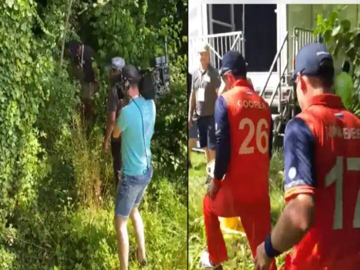 Netherlands vs England Dawid Malan six landed in bushes fielders search for balls Check Viral Pics Video Watch Video: சர்வதேச கிரிக்கெட்டில் டேவிட் மலான் அடிச்ச சிக்ஸ்..! புதருக்குள் பந்தை தேடிய நெதர்லாந்து வீரர்கள்..!