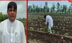 Surat: કપાસના આ બે બિયારણને મંજૂરી આપવા ખરીદ વેચાણ સંઘના પ્રમુખ જયેશ પટેલની રજુઆત