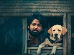 777 Charlie Box Office Collection : चित्रपट पाहून कर्नाटकच्या मुख्यमंत्र्यांचे देखील डोळे पाणावले; पाहा रक्षित शेट्टीच्या ‘777 चार्ली’चं बॉक्स ऑफिस कलेक्शन