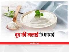 Milk Cream Benefits: दूध की मलाई नहीं है किसी से कम, सेहत होगी जबरदस्त