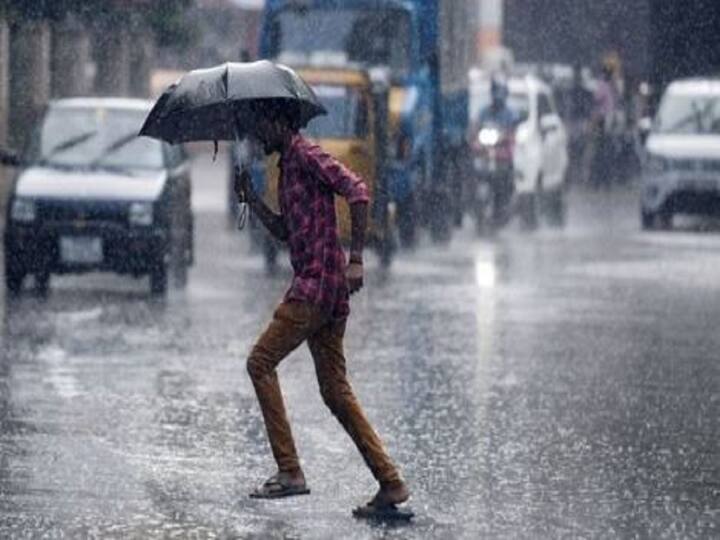 maharashtra Rain heavy rainfall in Maharashtra, happiness among the farmers Maharashtra Monsoon : राज्यात काही ठिकाणी पाऊस तर काही ठिकाणी प्रतीक्षा, खरीपाच्या पेरणीला सुरुवात होणार 