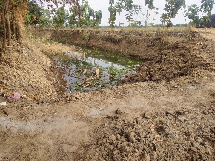 Nagapattinam: பாலம் கட்டும் பணியால் பயிர்கள் பாதிப்பு - நாகை விவசாயிகள் வேதனை