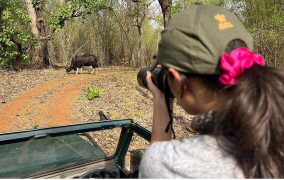 Satpura Tiger Reserve: बेटी के साथ क्वालिटी टाइम स्पेंड करने MP के इस गांव में पहुंची रवीना टंडन, सोशल मीडिया पर शेयर की तस्वीरें
