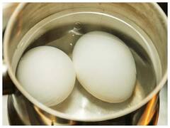 Egg Water Plants: इन फायदों को जान कर कभी नहीं फेकेंगे उबले अंडे का पानी, ऐसे करें इस पानी का इस्तेमाल