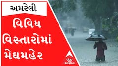અમરેલીઃ વિવિધ વિસ્તારોમાં વરસાદી માહોલ, ખેડૂતોમાં આનંદો