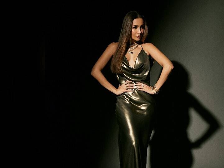 अभिनेत्री मलायका अरोरा चित्रपटांपासून दूर असली, तरीही यामुळे तिच्या प्रसिद्धीमध्ये कोणतीही कमतरता झालेली नाही. (photo:/malaikaaroraofficial/ig)