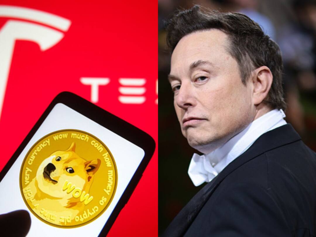 Elon Musk Sued By Dogecoin Investor For $258 Billion Over Alleged Pyramid Scheme Elon Musk Sued Dogecoin Investor Pyramid Scheme Crypto Promotion USD 258 Billion Elon Musk Sued By Dogecoin Investor For $258 Billion Over Alleged Pyramid Scheme