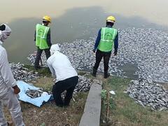 Etawah News: मुगलकालीन ऐतिहासिक पक्का तालाब में ऑक्सीजन की कमी से हजारों कवई मछलियों की मौत, अधिकारियों ने किया निरीक्षण