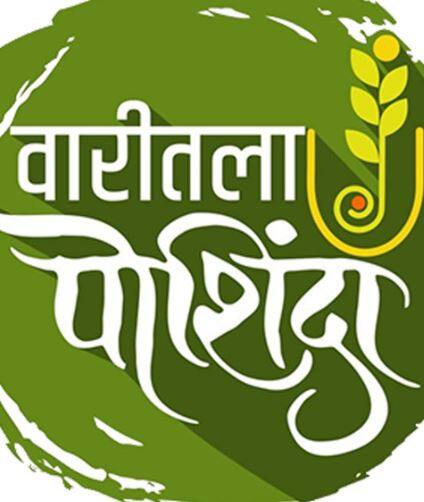 आतापर्यंत  फेसबुक दिंडीनं विविध उपक्रम राबवले आहेत.