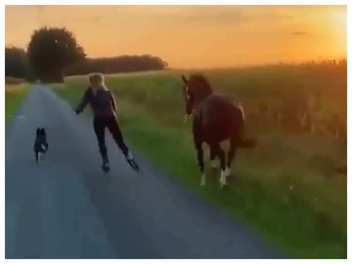 trending video of horse dog and lady on skate having race on road goes viral Watch: घोड़े कुत्ते और महिला में लगी रेस, स्केटिंग करती महिला है सबसे तेज
