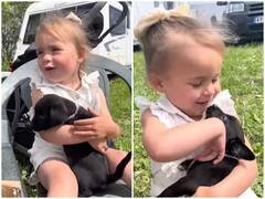 Watch: पालतू कुत्ते पर प्यार लुटाते नजर आई छोटी बच्ची, आपका दिल पिघला देगा वीडियो