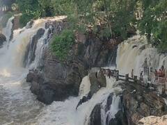 காவிரி ஆற்றில் நீர்வரத்து அதிகரிப்பு; ஒகேனக்கல்லில் சுற்றுலா பயணிகளுக்கு தடை..!